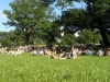 crowd_view_1