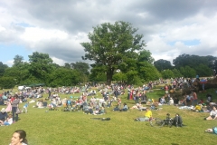 Lazy Sunday Afternoon 21st June 2015