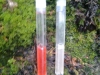 fpw_water_testing_30_may_2013_nitrate