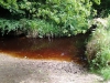 hilly_fields_dead_fish_2013-07-04-12-26-35