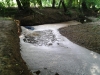 hilly_fields_dead_fish_2013-07-05-18-15-44